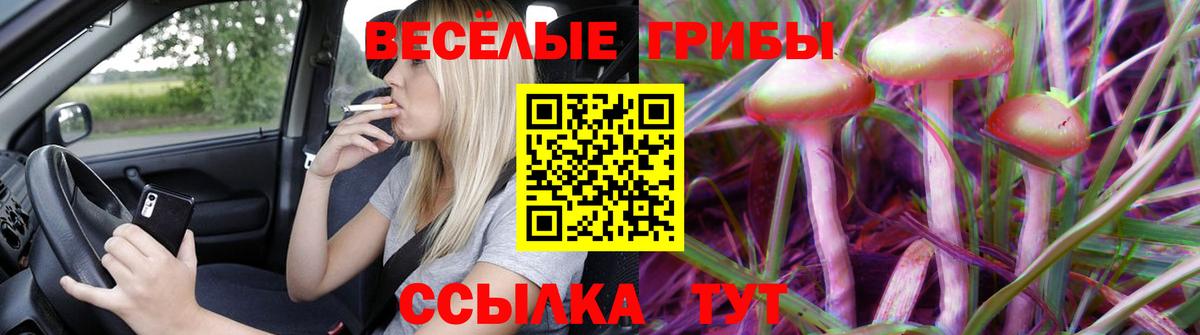 Псилоцибиновые грибы GOLDEN TEACHER  Вход с VPN  Великий Новгород 